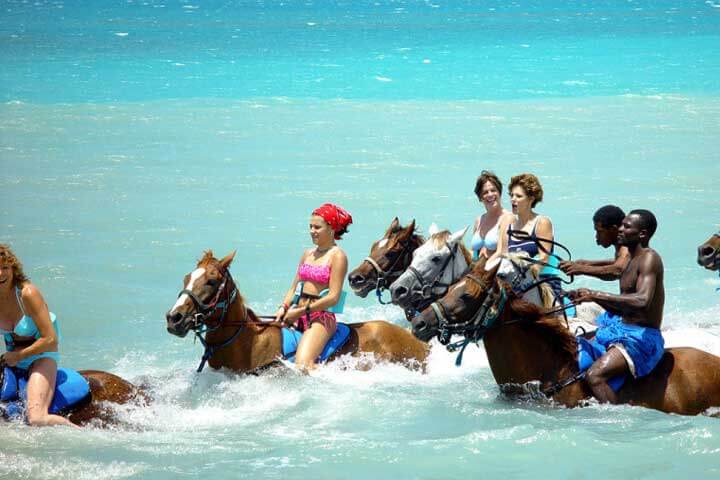 Travel with Mich | Private Transportation & VIP Tours in Jamaica