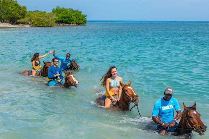 Travel with Mich | Private Transportation & VIP Tours in Jamaica