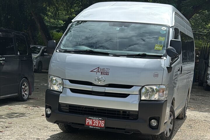 Travel with Mich | Private Transportation & VIP Tours in Jamaica
