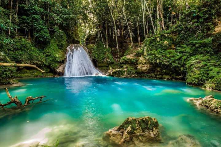 Travel with Mich | Private Transportation & VIP Tours in Jamaica