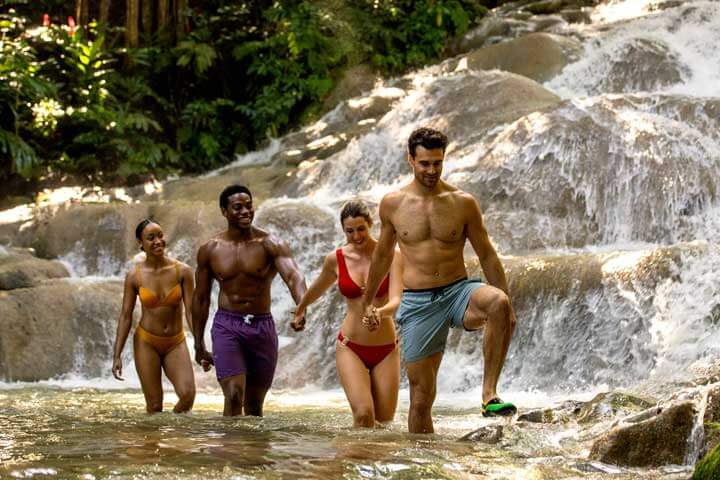 Travel with Mich | Private Transportation & VIP Tours in Jamaica