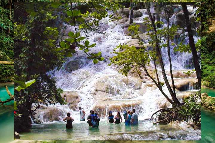 Travel with Mich | Private Transportation & VIP Tours in Jamaica