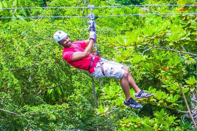 Zip Line